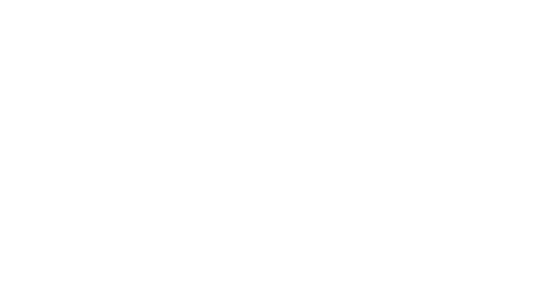 Brain Injury Association