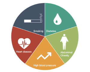 Stroke Risk Wheel Stroke | Centre for Neuro Skills